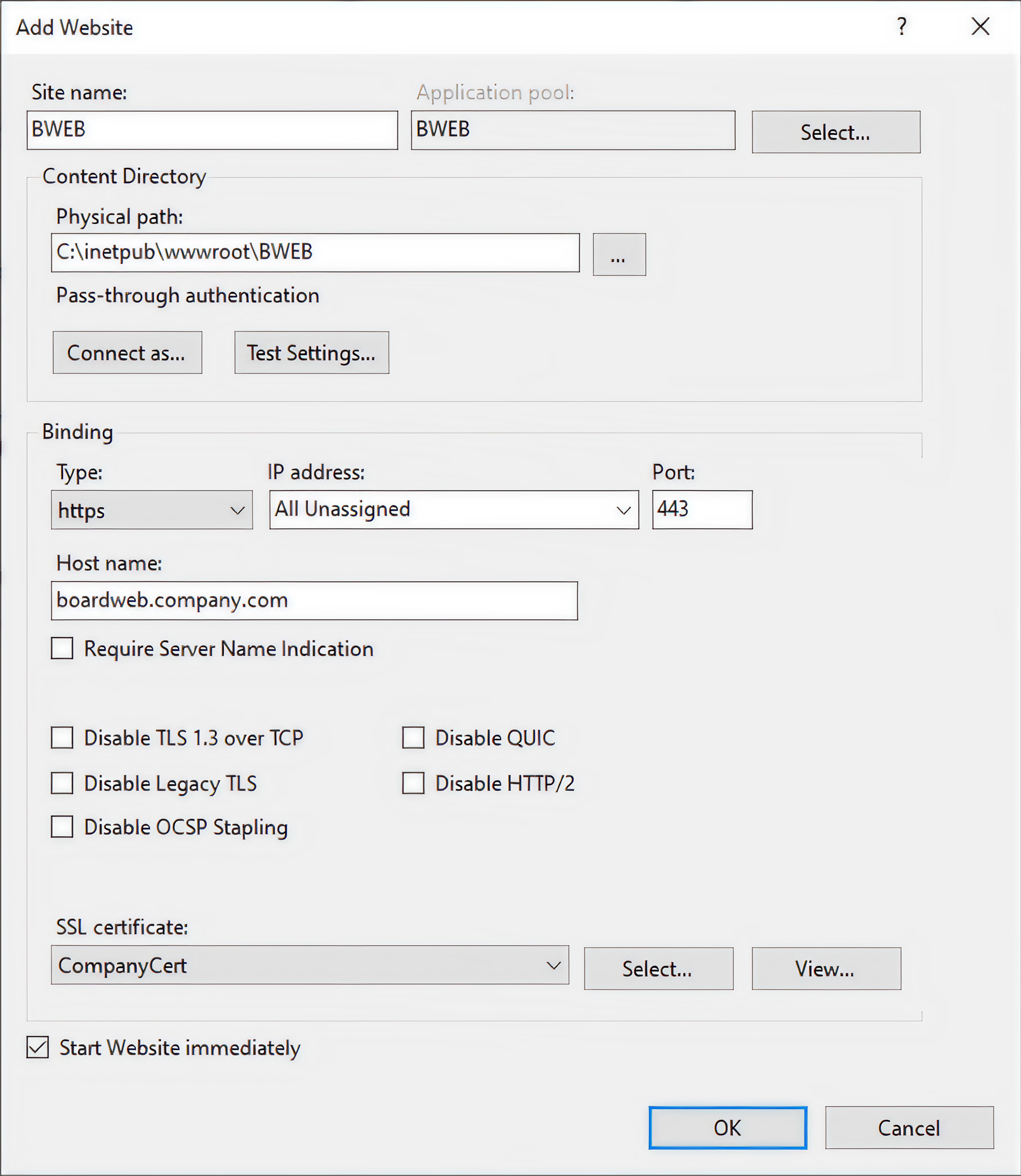 Configuration settings for adding a new website with SSL certificate options.